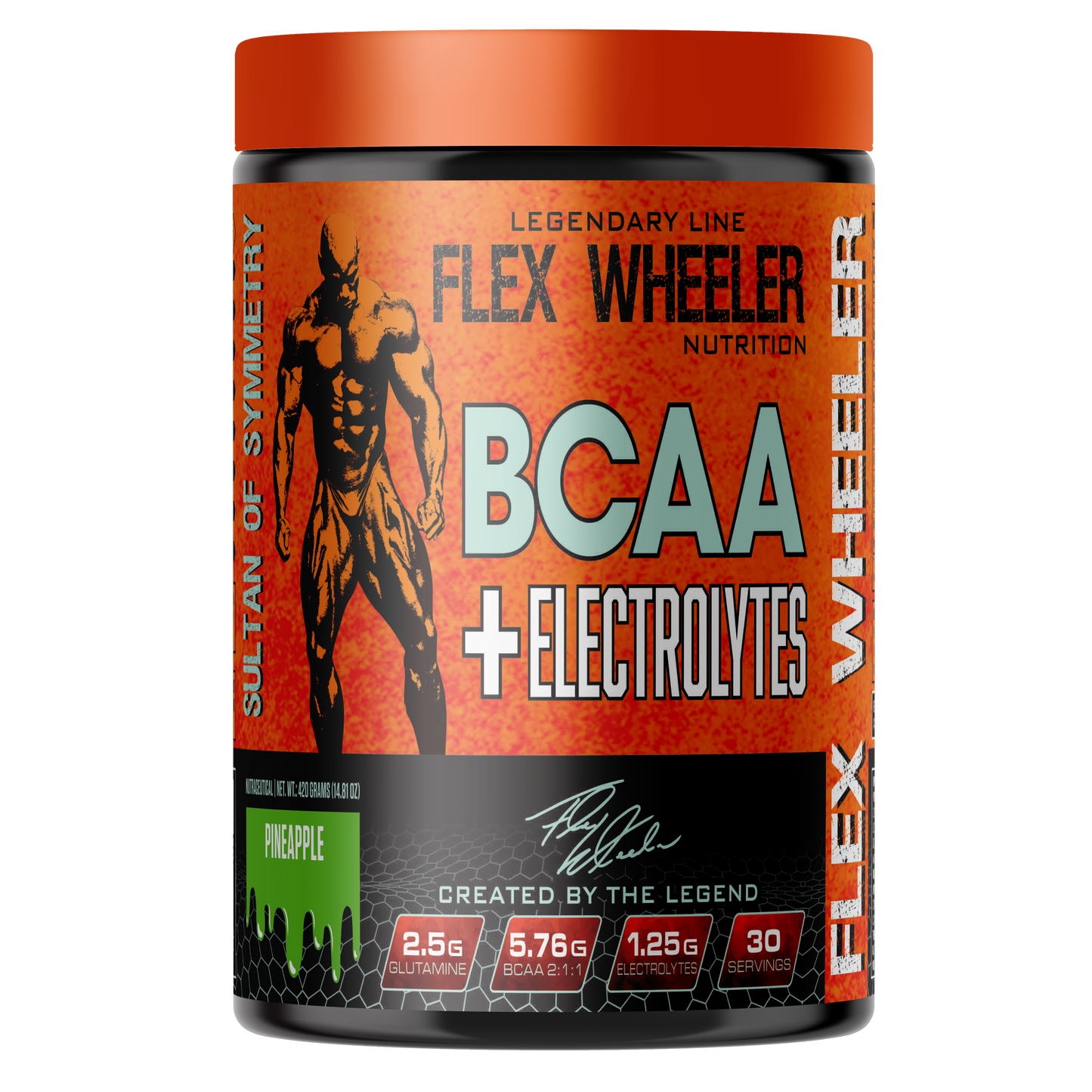 Flex Wheeler BCAA With Electrolytes 420g | 30 Servings