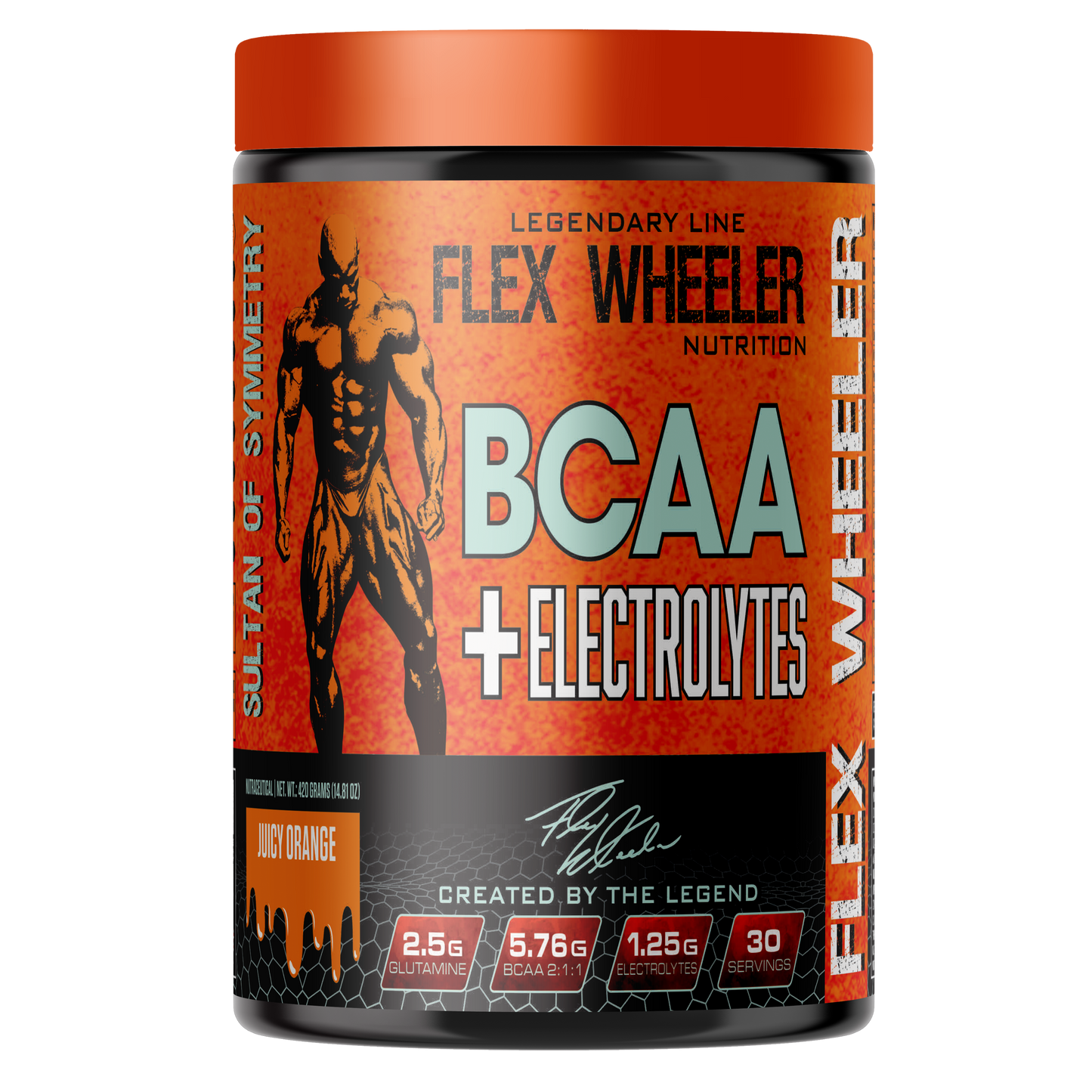 Flex Wheeler BCAA With Electrolytes 420g | 30 Servings