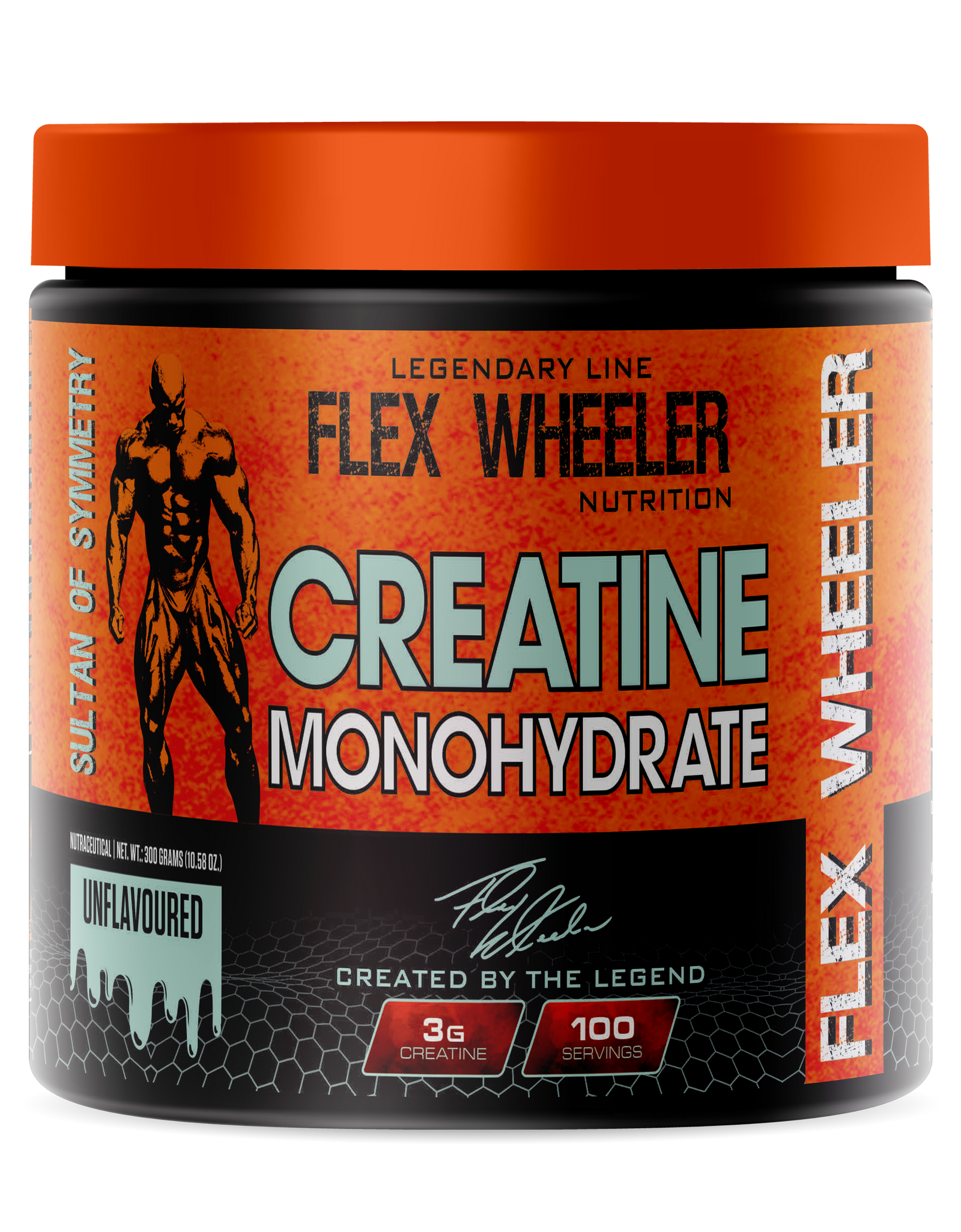 CREATINE MONOHYDRATE 100 SERVINGS