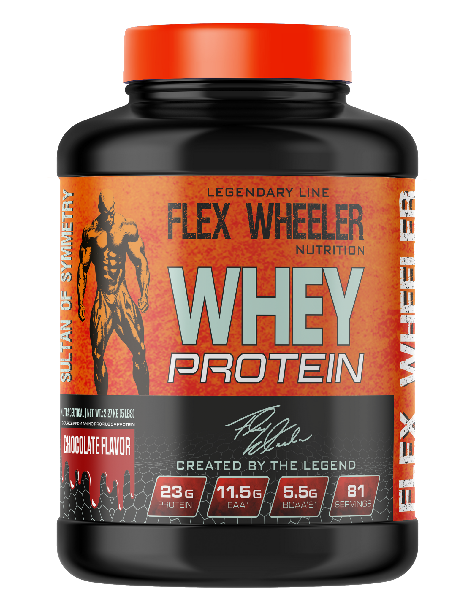 WHEY PROTEIN